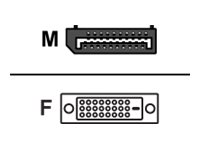 Fujitsu - DisplayPort-Kabel - DisplayPort (M) zu DVI-D (W) - für Celsius W5011; ESPRIMO D6011, D7010, D7011, D9010, D9011, G5011, P5011, P7011, P9011