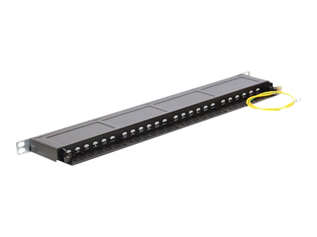 Delock Patch Panel - RJ-45 X 24 - Jet Black, RAL 9005 - 0.5U - 48.3 cm 19" (43316)