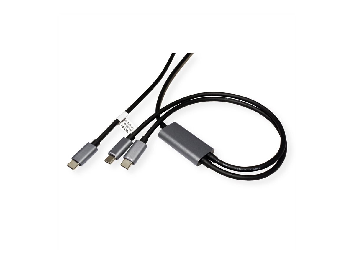 ROLINE USB-Kabel - USB-C (M) zu USB-C (M)