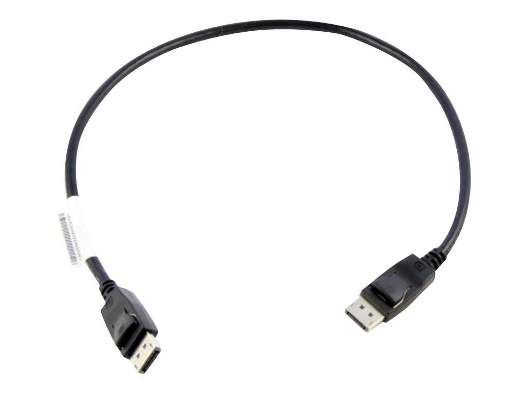 Lenovo DisplayPort-Kabel - DisplayPort M bis DisplayPort M (0B47396)