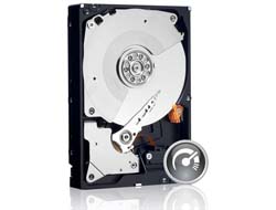 WD_BLACK WD Black Performance Hard Drive WD2003FZEX - Festplatte - 2 TB - intern - 3.5 (8.9 cm)