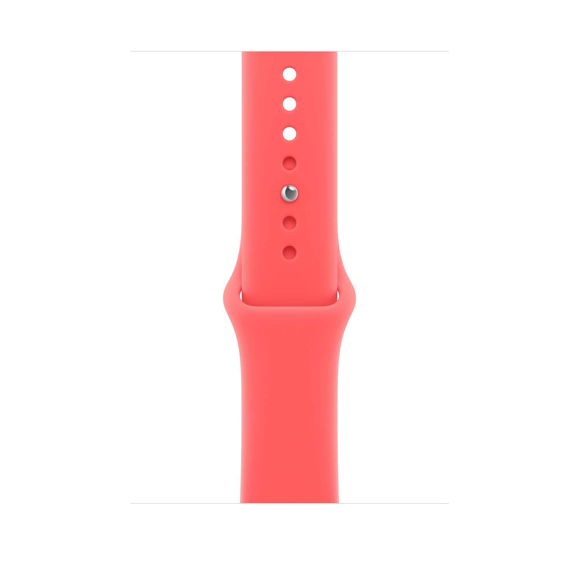 Apple Armband  Apple - Armband