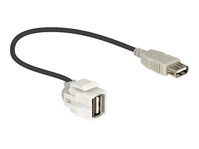 Delock Modulare Eingabe - USB Type A