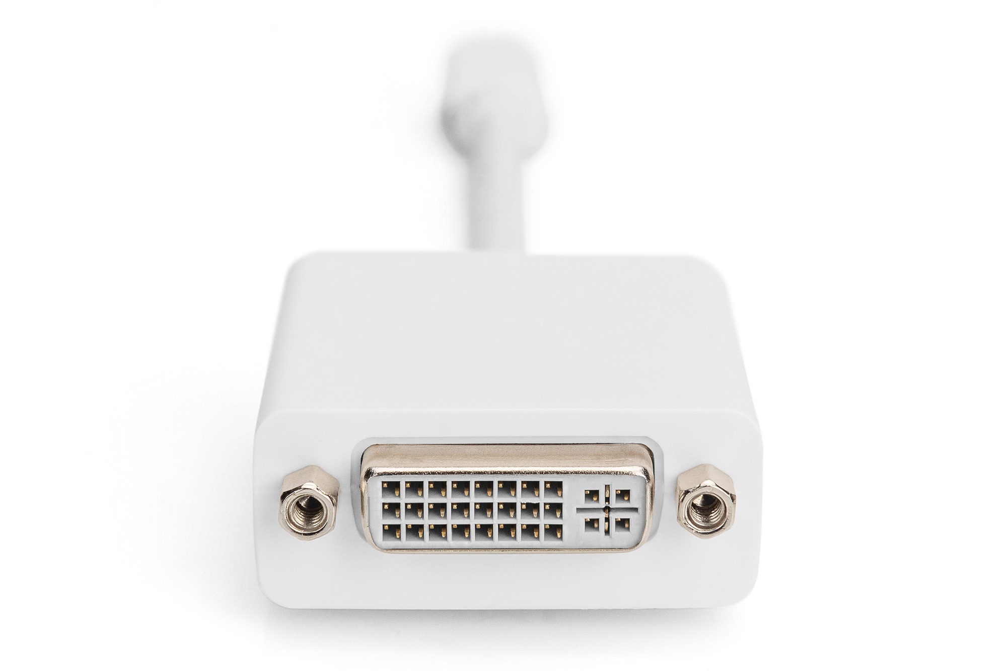 Assmann DisplayPort Adapter / Konverter, Ansicht 3