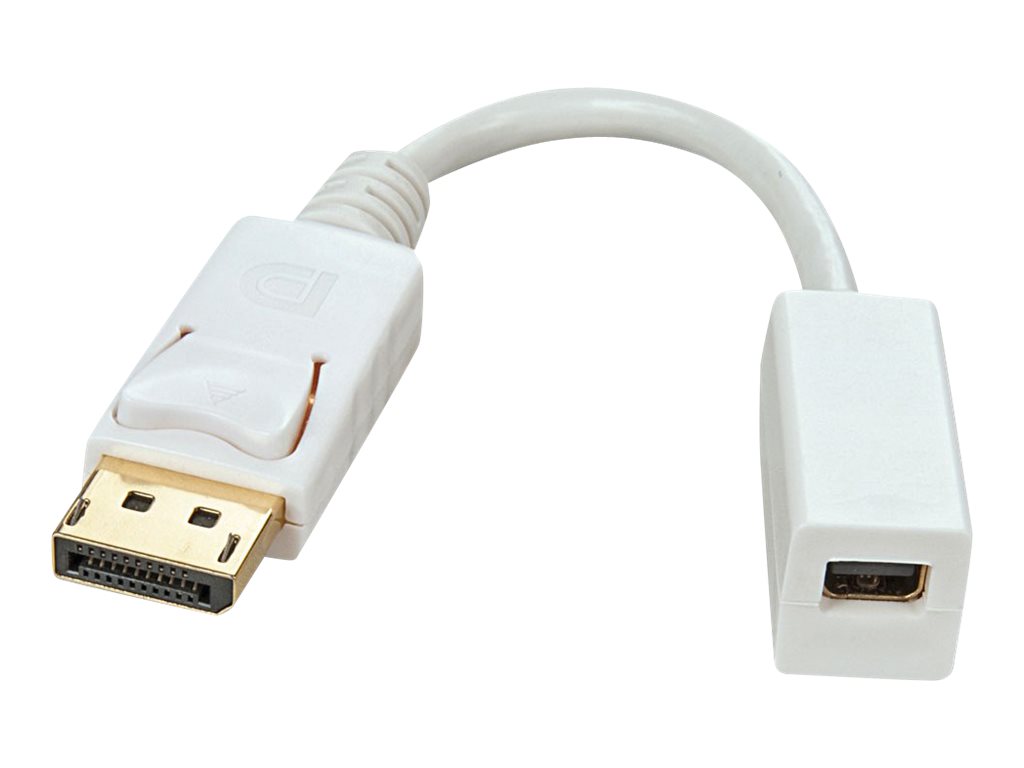 Lindy - DisplayPort-Adapter - DisplayPort (M) zu Mini DisplayPort (W) - 15 cm - weiß