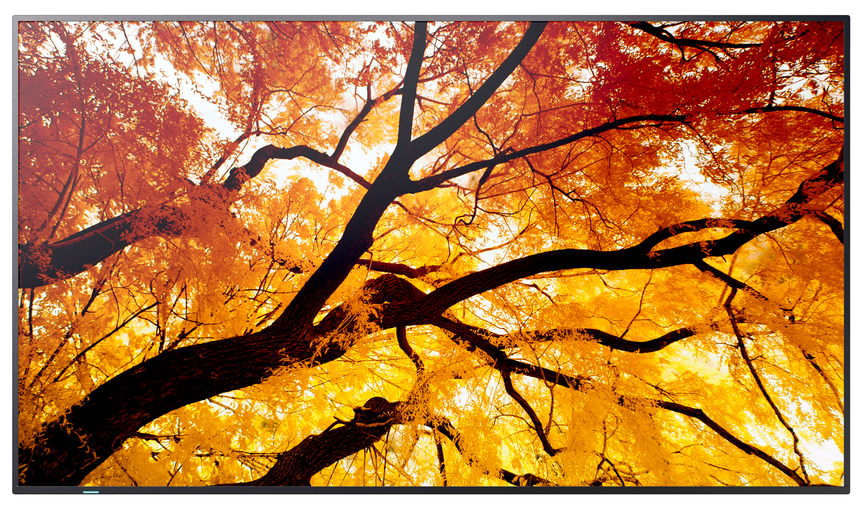 Sharp M552 55IN LFD UHD D-LED - 139,7 cm - 55, Ansicht 3