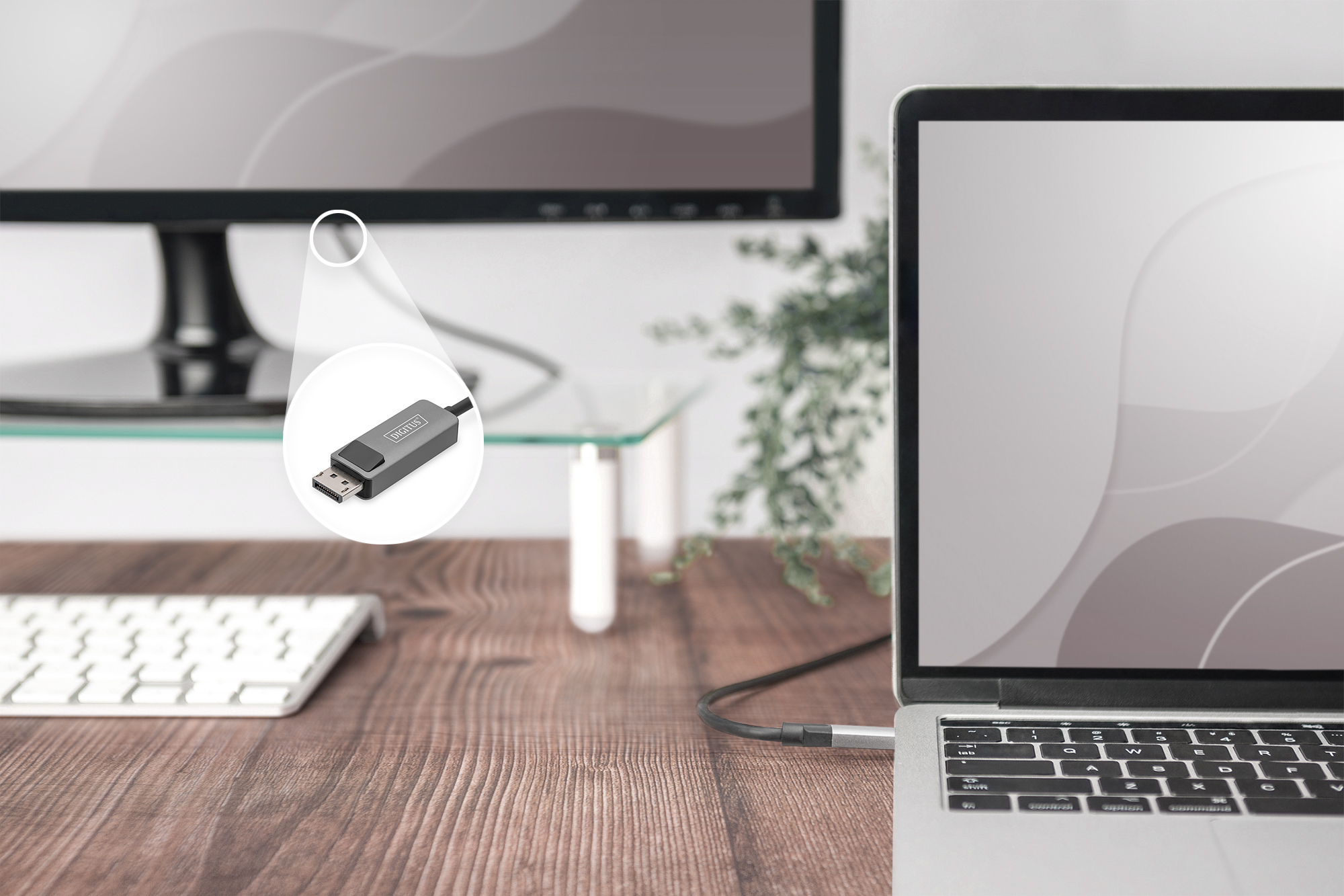 DIGITUS Adapterkabel - DisplayPort (M) zu 24 pin USB-C (M), Ansicht 2