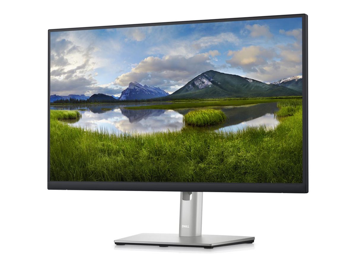 Dell P2423DE - LED-Monitor - 61 cm (24") - 2560