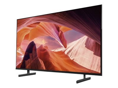 Sony Bravia Professional Displays FWD-43X80L - 108 cm (43)