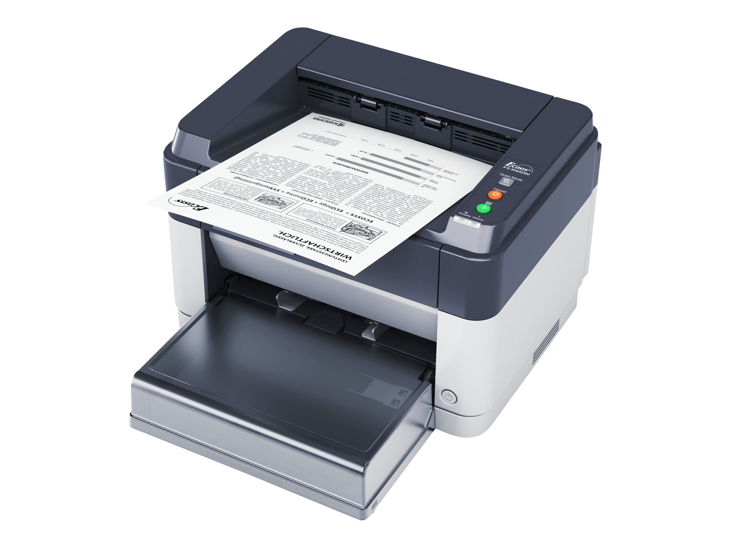 Kyocera FS-1061DN - Drucker - s/w - Duplex