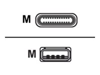 Digital Data Communications USB-Kabel - USB (M) bis USB-C (M) - USB 2.0