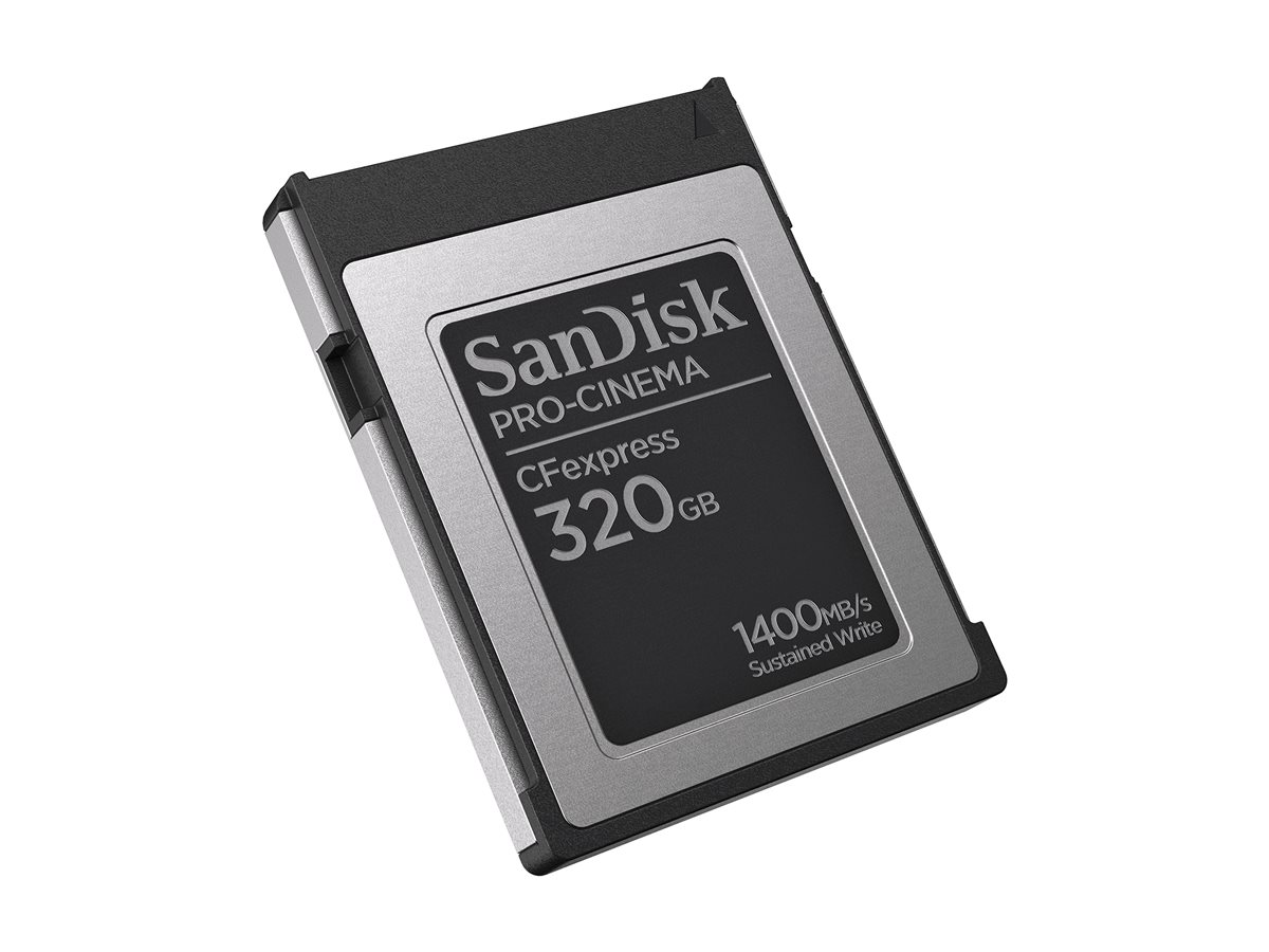 SanDisk PRO-CINEMA - Flash-Speicherkarte - 320 GB