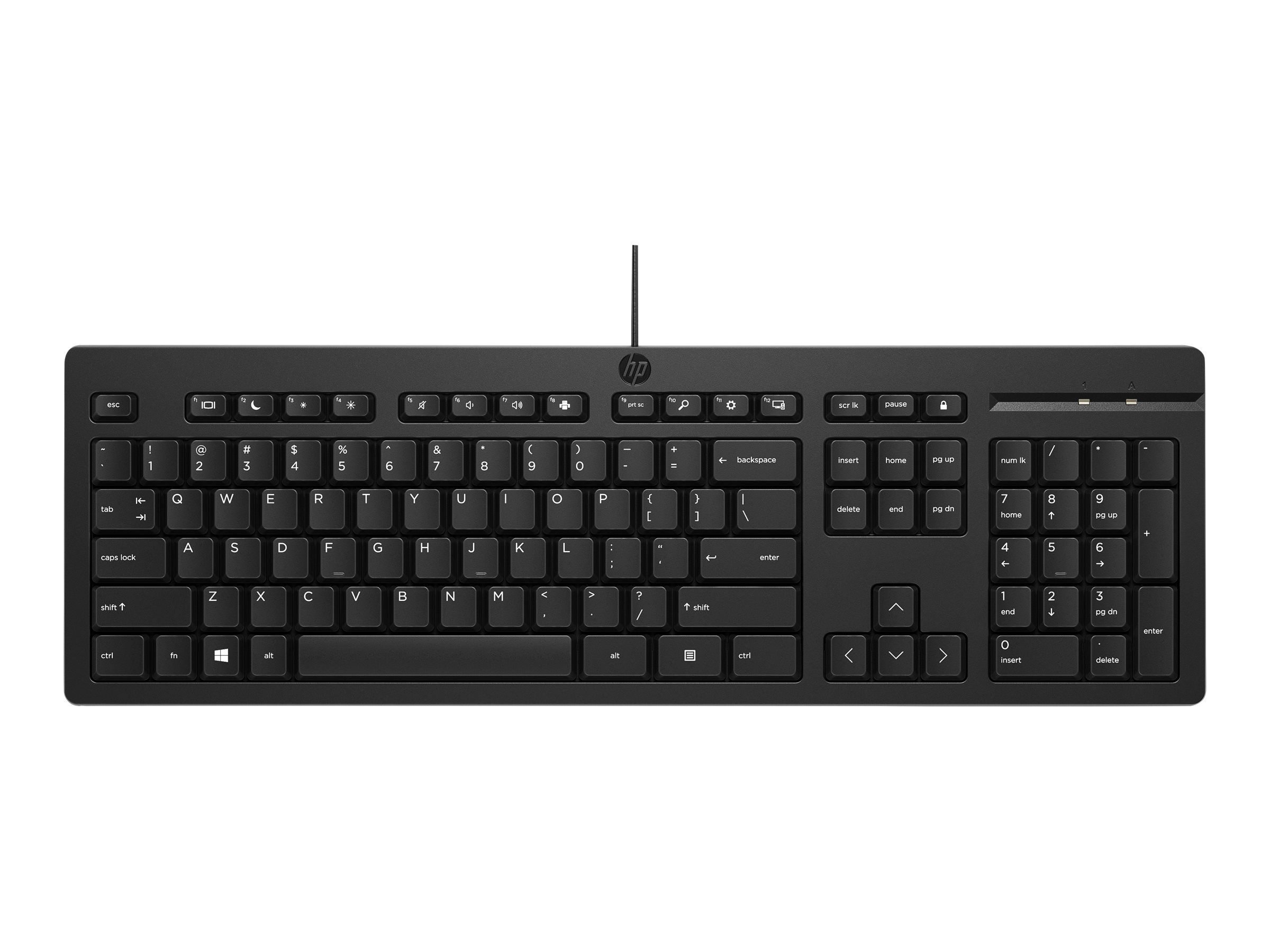HP 125 - Tastatur - USB - für HP 245 G9, 295 G8 - TL: Niederländisch, QWERTY, Ansicht 5