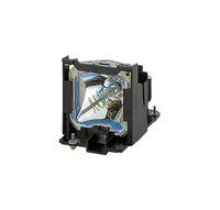 Optoma Projektorlampe - für Optoma S341, W341, W345, X341 (SP.72G01GC01)