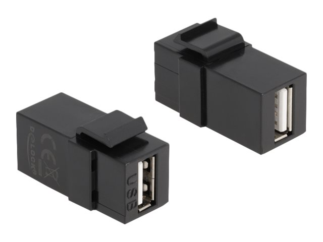 Delock Modulare Eingabe - USB Type A - Schwarz