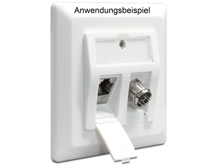 Delock Keystone Wall Outlet - Wanddose - weiß, RAL 9010, Ansicht 3