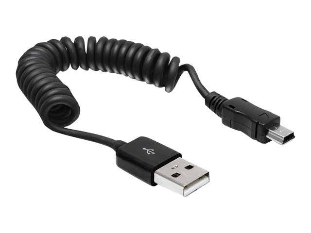 Delock USB-Kabel - USB (M) zu Mini-USB, Typ B (M)