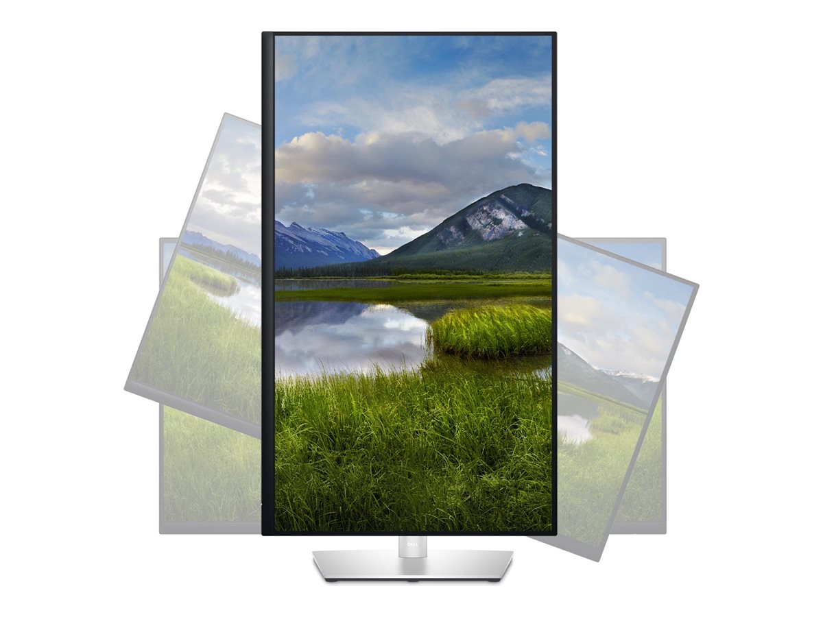 Dell P3223DE - LED-Monitor - 80 cm (31.5")