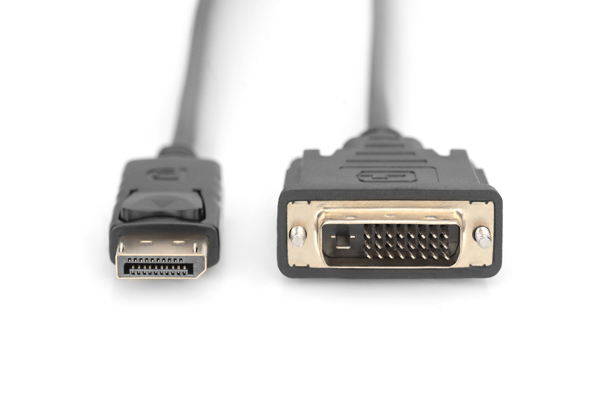 DIGITUS DisplayPort Adapterkabel, DP auf DVI-D, Ansicht 4