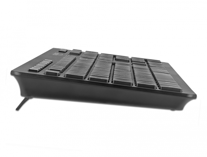 Delock Silent - Tastatur - kabellos - 2.4 GHz - TL: Deutsch, QWERTZ, Ansicht 4