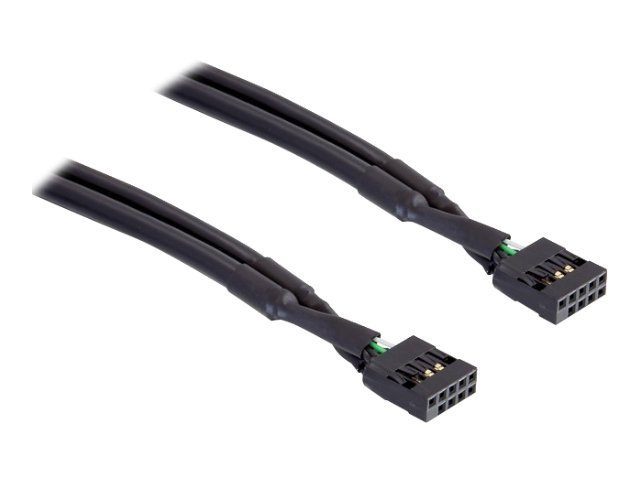 Delock USB-Kabel - 10-poliger USB-Header (W)