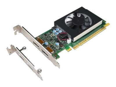 NVIDIA GeForce GT730 - Grafikkarten - GF GT 730 - 2 GB GDDR5 - PCIe 2.0 x8 Low-Profile - DisplayPort