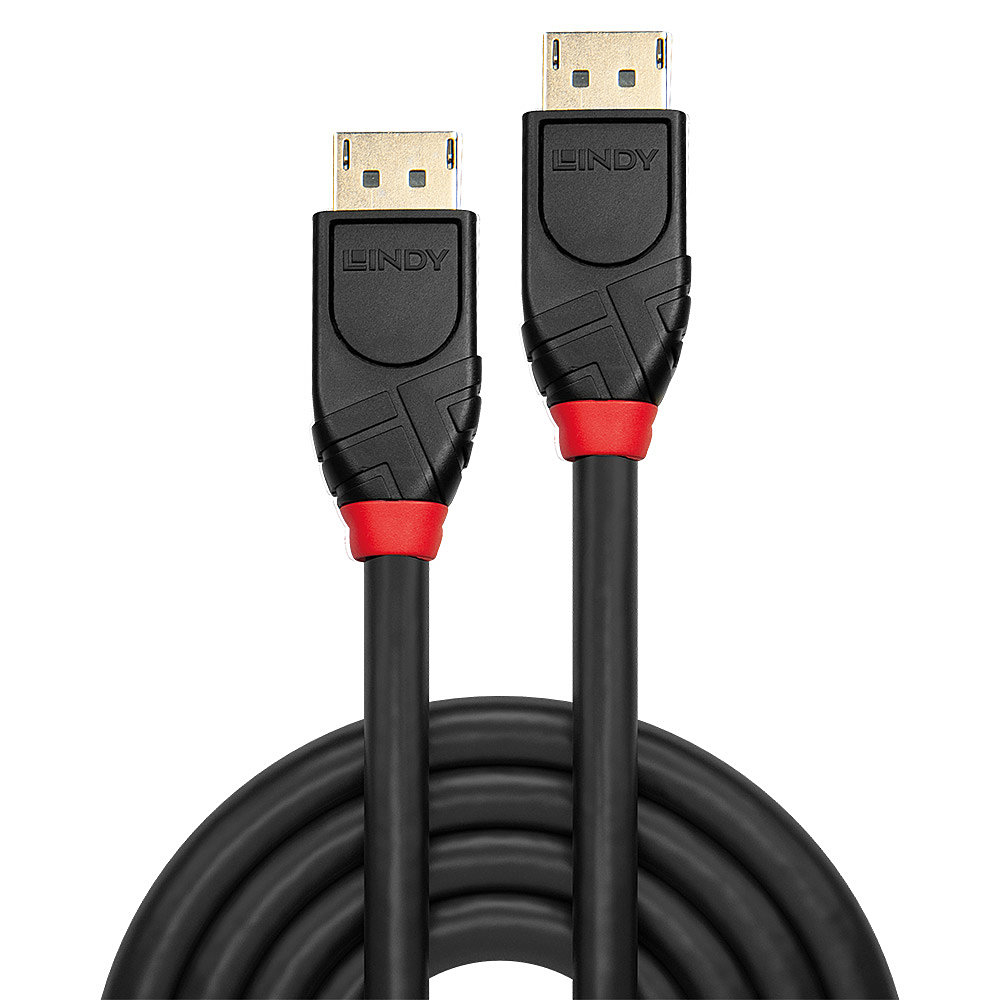 Lindy DisplayPort-Kabel - DisplayPort (M), Ansicht 3