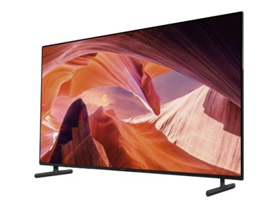 Sony Bravia Professional Displays FWD-65X80L - 164 cm (65)