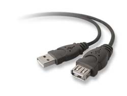 Belkin 10ft USB A/A 2.0 Extension Cable, M/F, 480Mp - USB-Verlängerungskabel - USB (M) zu USB (W) - USB 2.0 - 3 m - geformt