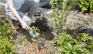 Gardena Unkrautstecher - Stahl - Duroplast - Schwarz - 1 Stück(e), Ansicht 3