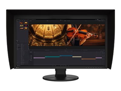 EIZO ColorEdge CG3100X - LED-Monitor - 78.7 cm (31")