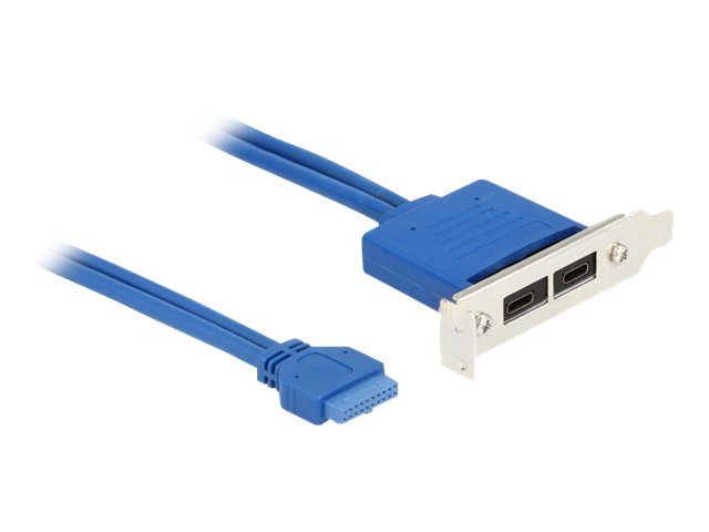 Delock Slot bracket - USB-Konsole - 19-poliger USB 3.0 Kopf (W)