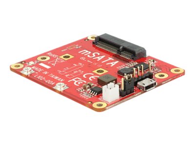 Delock Speicher-Controller - mSATA - mSATA