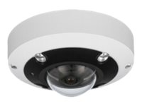 LevelOne FCS-3095 - Panoramakamera - Kuppel - wetterfest - Farbe (Tag&Nacht)