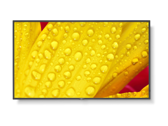 NEC Display MultiSync M431-2 - 109 cm (43) Diagonalklasse (108 cm (42.5)