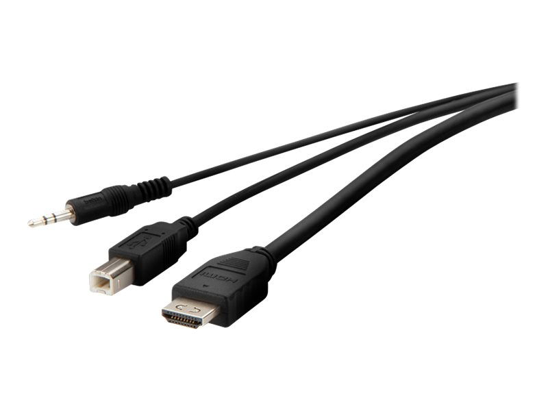 Belkin Secure KVM Combo Cable - Video- / USB- / Audio-Kabel - TAA-konform - USB, Mini-Stecker, HDMI (M)