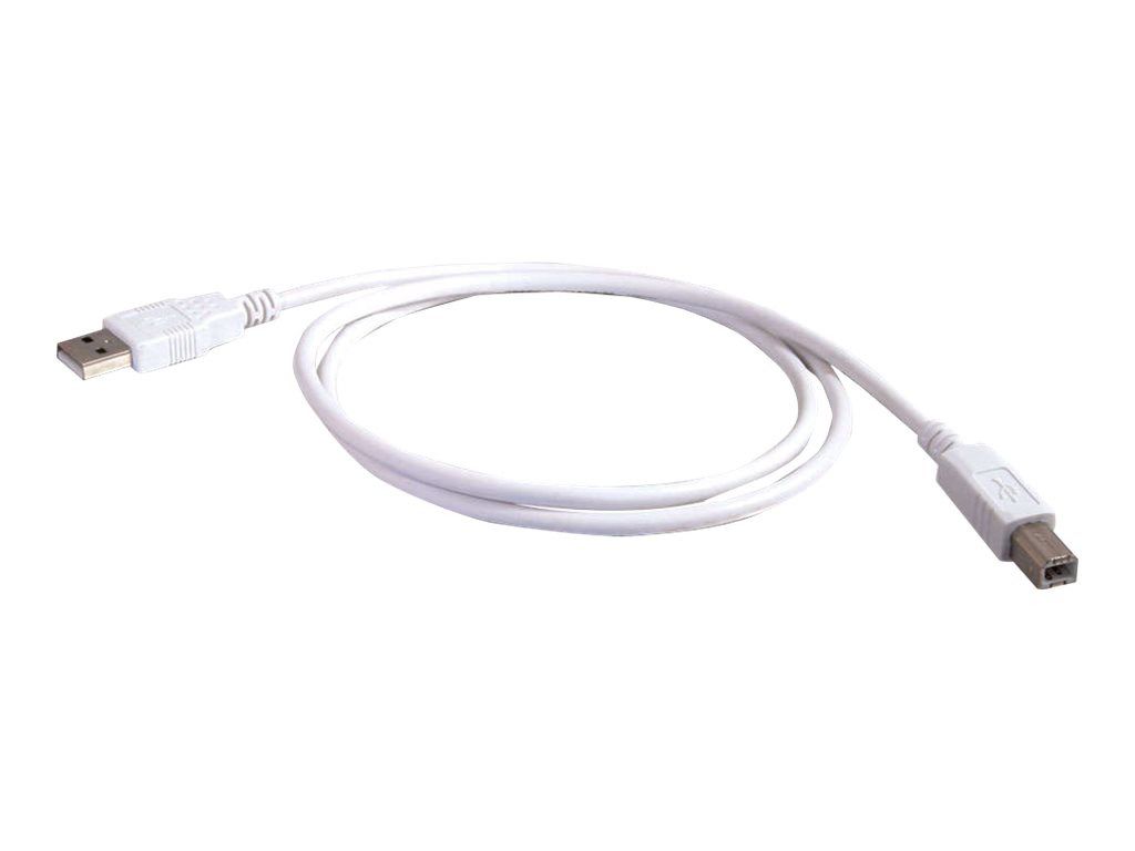 Cables To Go C2G - USB-Kabel - USB (M) bis USB Type B (M) (81561)