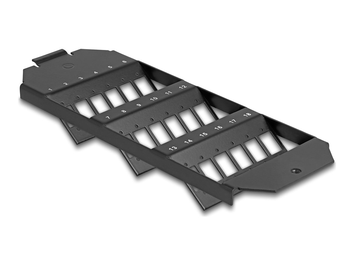 Delock Patch Panel - für SC Simplex  LC Duplex Couplers