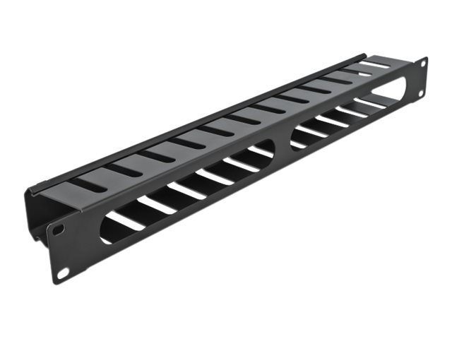 Delock Kabelführungsplatte für Schaltschrank - Schwarz - 1U - 48.3 cm (19)
