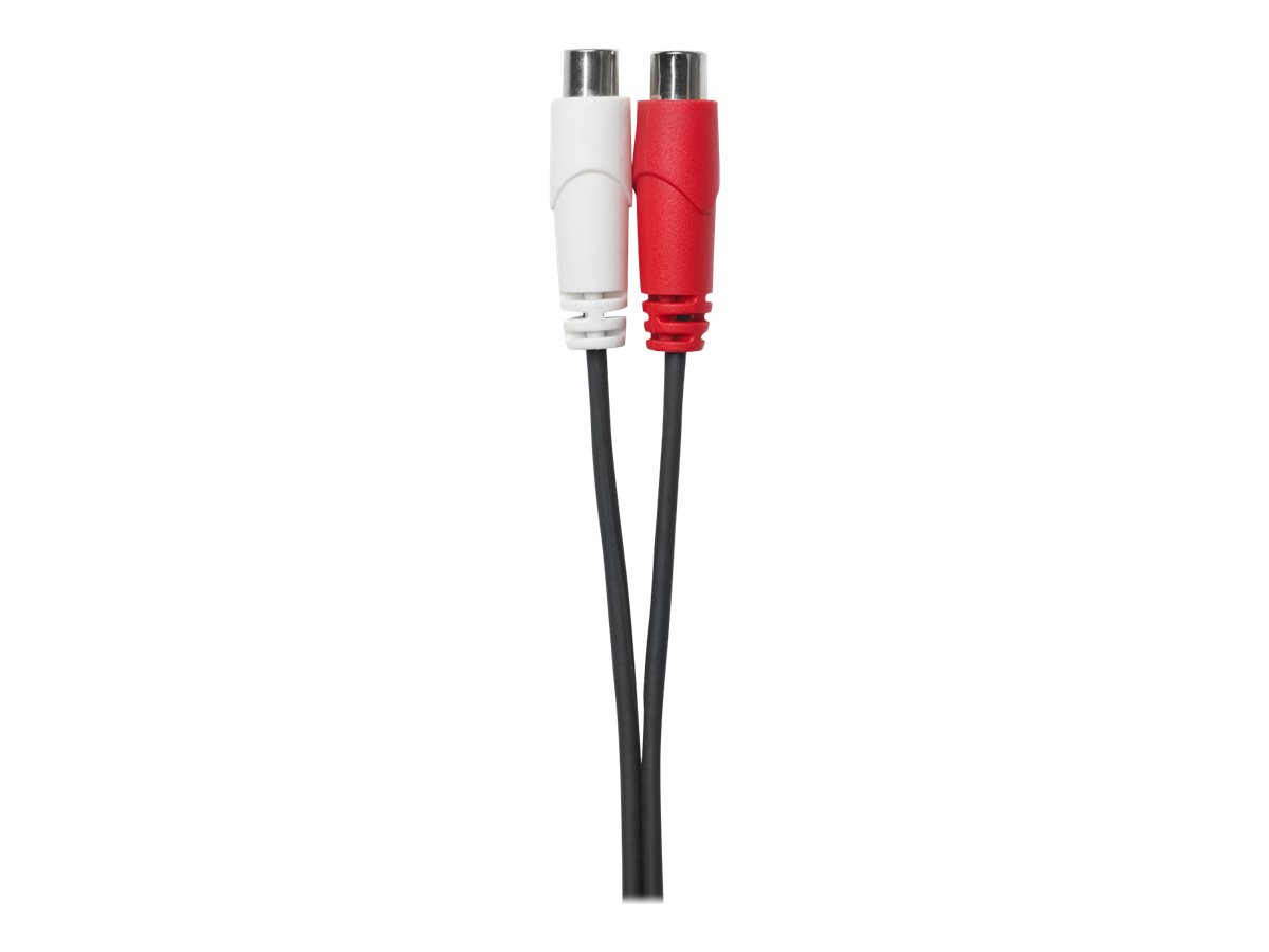 VivoLink PROMJMRCAF0.2 - 2 x RCA - Weiblich - 3.5mm - Männlich - 0,2 m - Schwarz, Ansicht 3