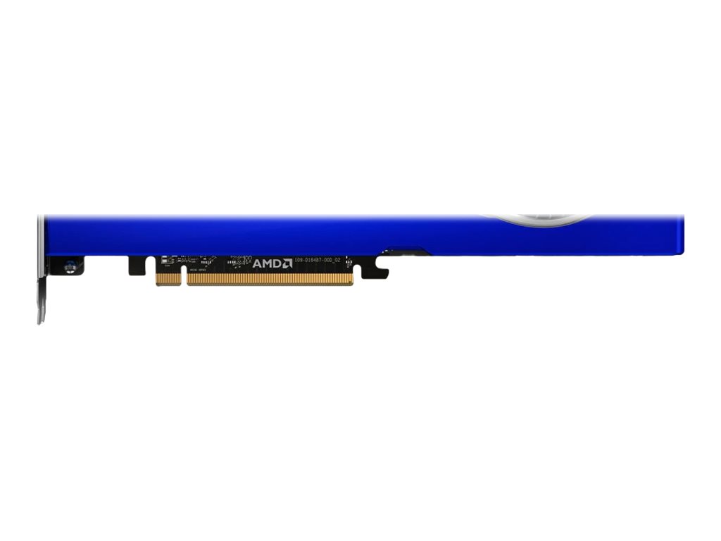 AMD Radeon Pro W6800 - Grafikkarten - Radeon Pro W6800