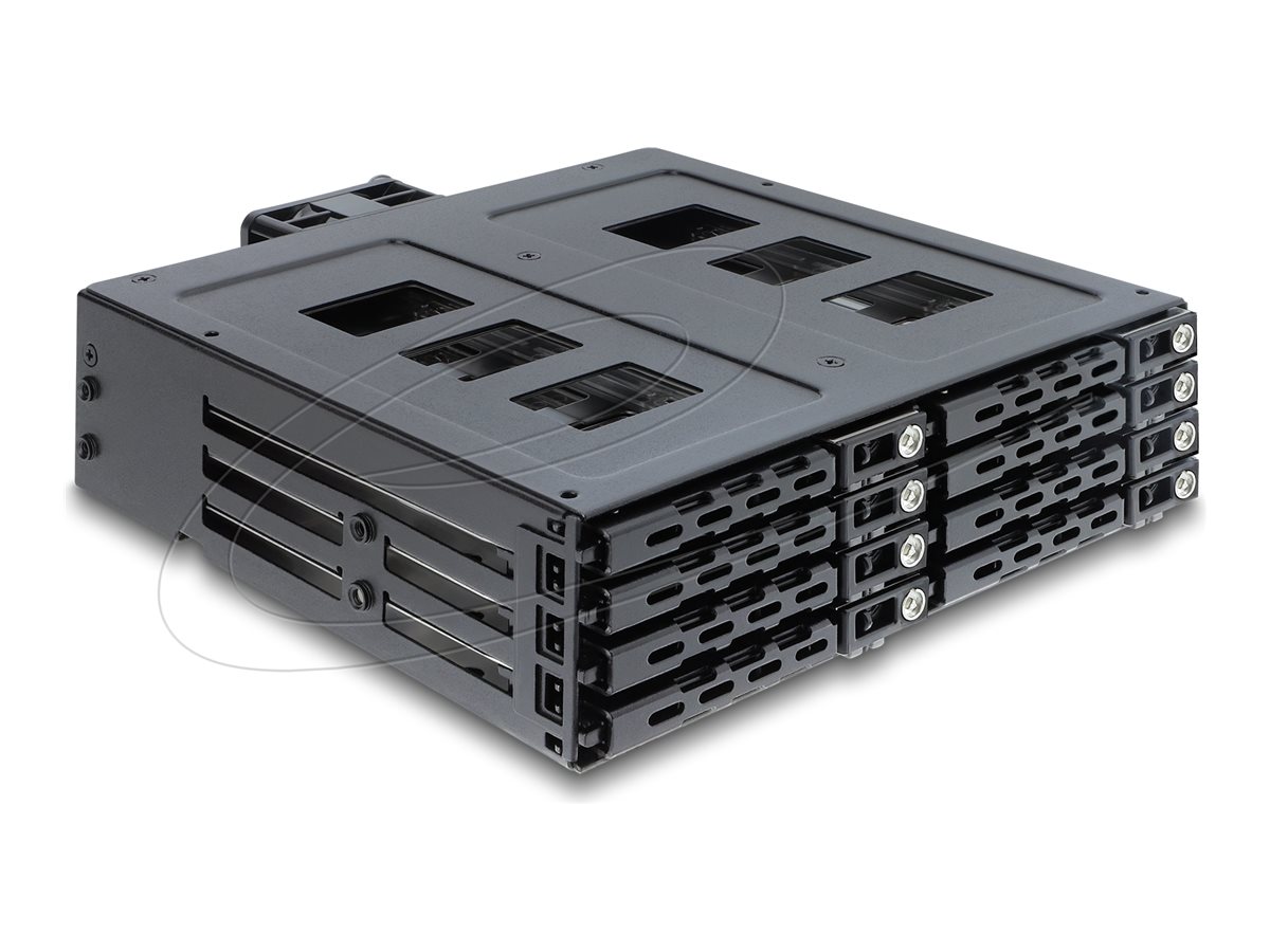 Delock Mobiles Speicher-Rack - with lock - 2.5" (6.4 cm)