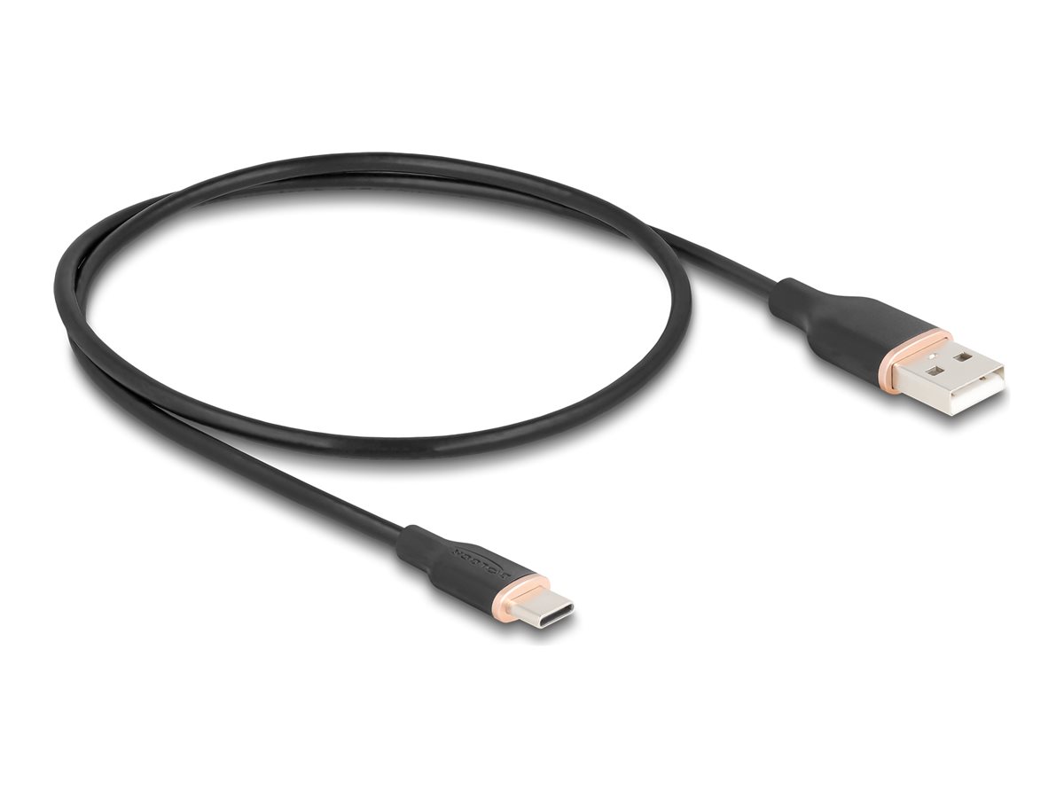Delock USB-Kabel - USB (M) zu USB-C (M) - USB 2.0