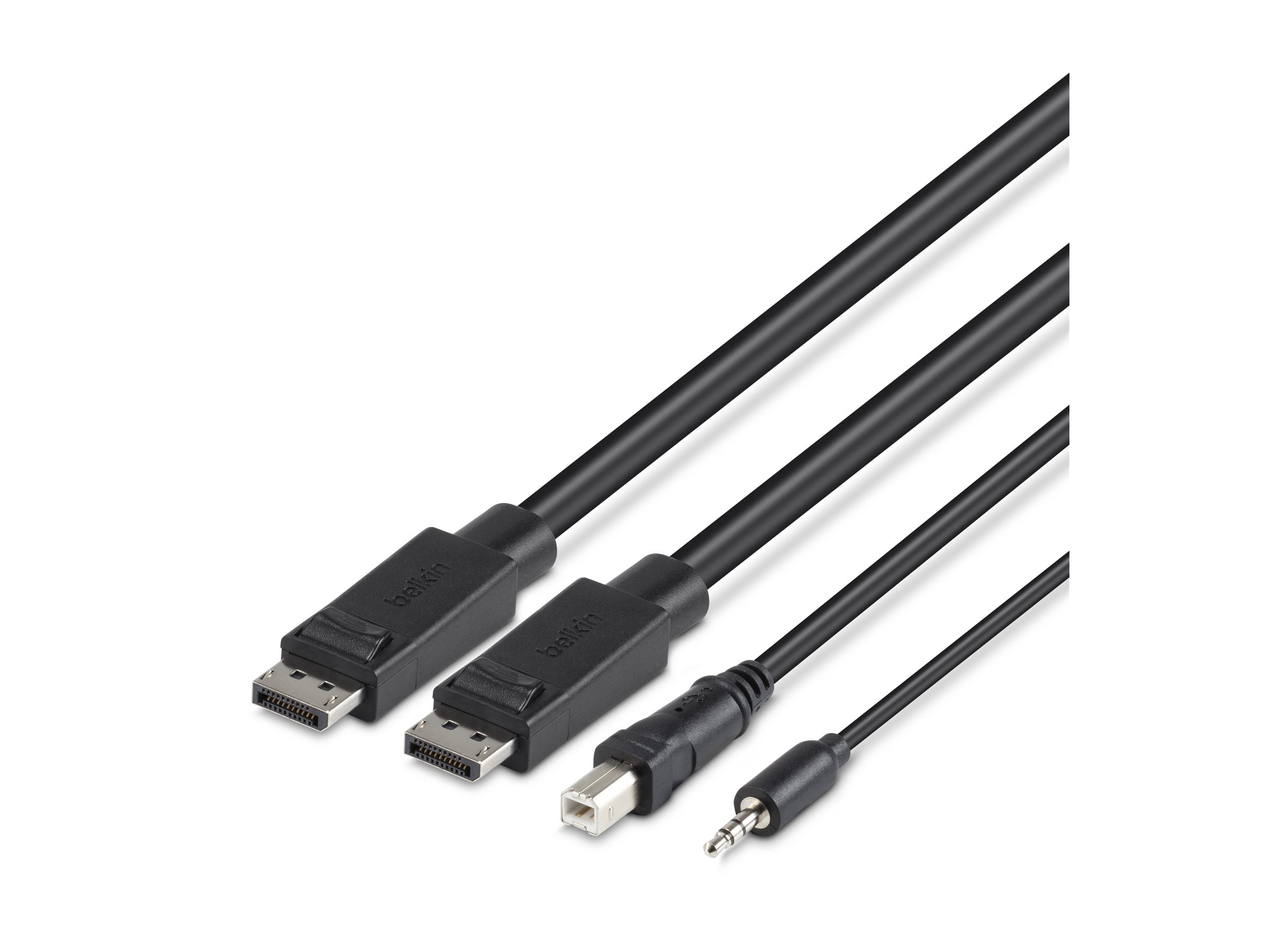 Belkin Secure KVM Combo Cable - Tastatur- / Video- / Maus- / Audio-Kabel - TAA-konform - USB, Mini-Stecker, DisplayPort (M)