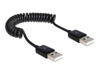 Delock USB-Kabel - USB (M) zu USB (M) - USB