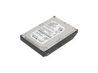 Lenovo Festplatte - 1 TB - intern - 3.5 (8.9 cm)