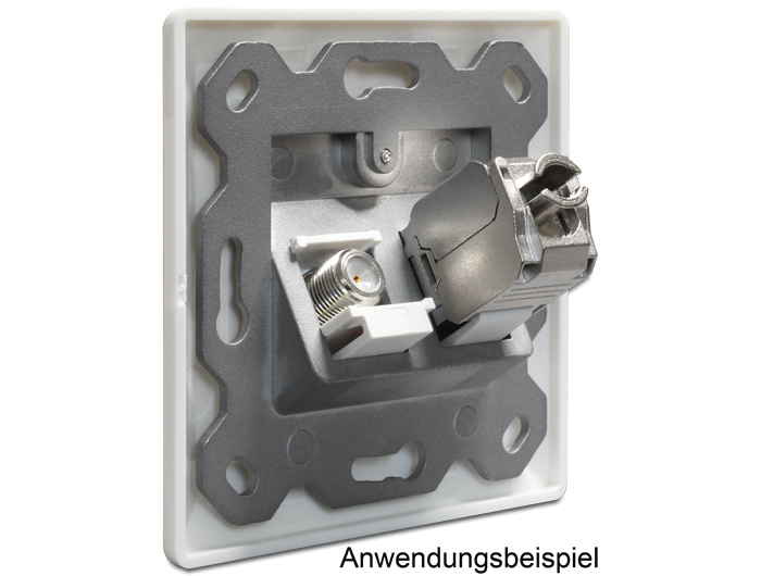 Delock Keystone Wall Outlet - Wanddose - weiß, RAL 9010, Ansicht 4