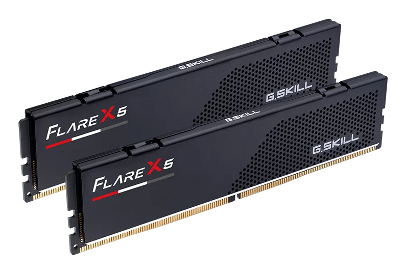 G.Skill Flare X5 - DDR5 - Kit - 48 GB: 2 x 24 GB, Ansicht 3