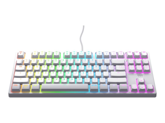 Cherry XTRFY K4V2 - Tastatur - RGB - 80% - TKL