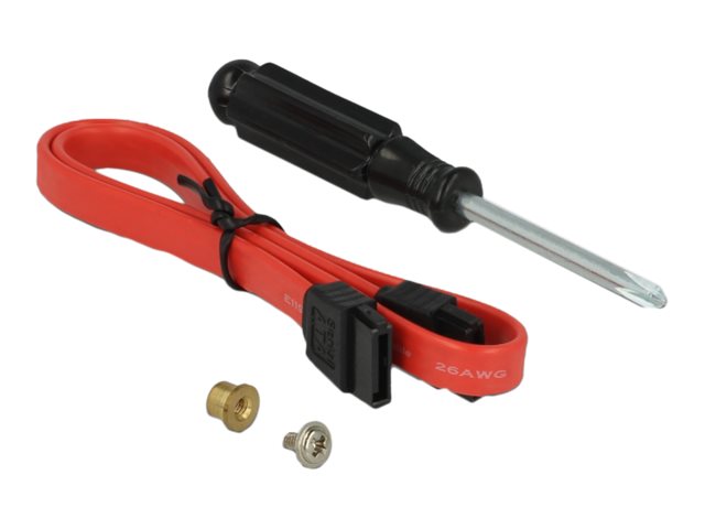 Delock Adapter SATA + DDR3 to M.2 key B - Schnittstellenadapter